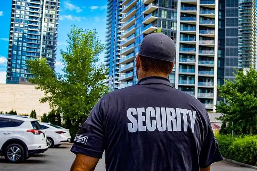 Elyra Thane Images Elyra Thane Images